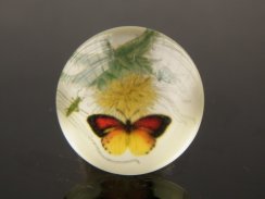 Butterfly printed glass cabochons