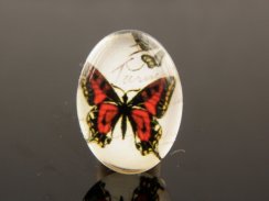 Buterfly printed glass cabochons